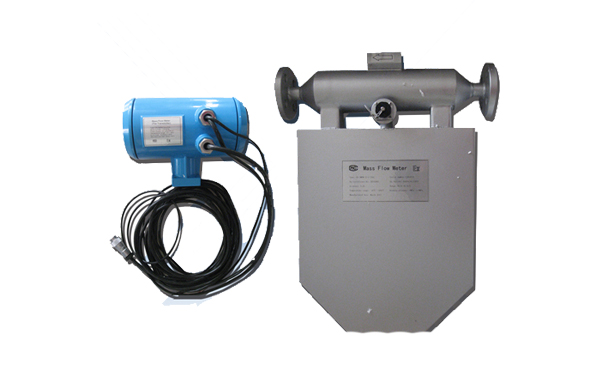 气体质量流量计